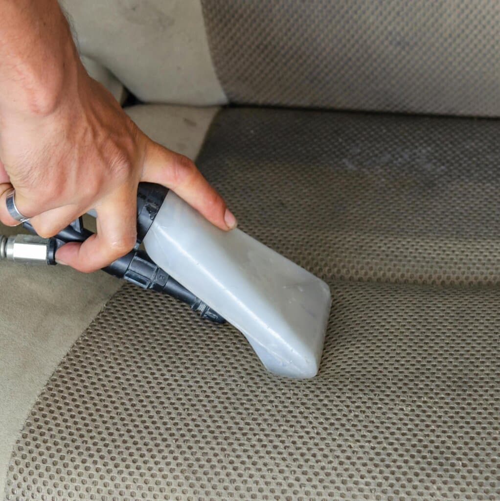 Interior Mould Removal